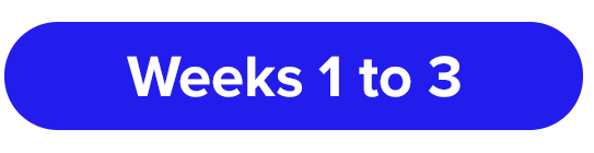 Weeks 1 to 3 Strategy Timeline