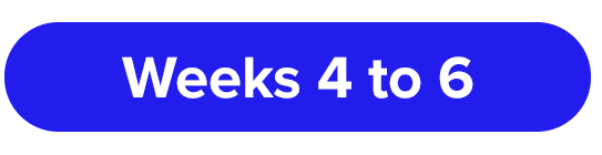 Weeks 4 to 6 Strategy Timeline