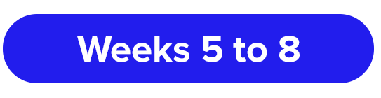 Weeks 5 to 8 Strategy Timeline