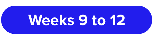 Weeks 9 to 12 Strategy Timeline